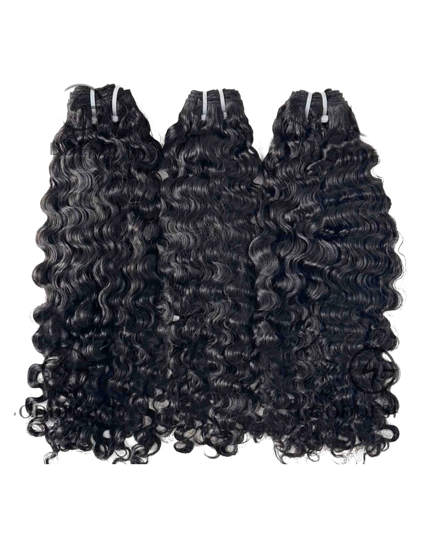 Raw Burmese Curly