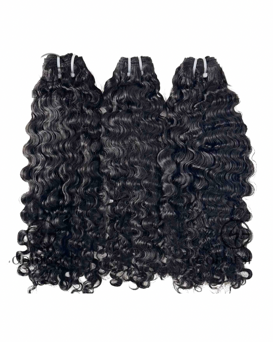 Raw Burmese Curly